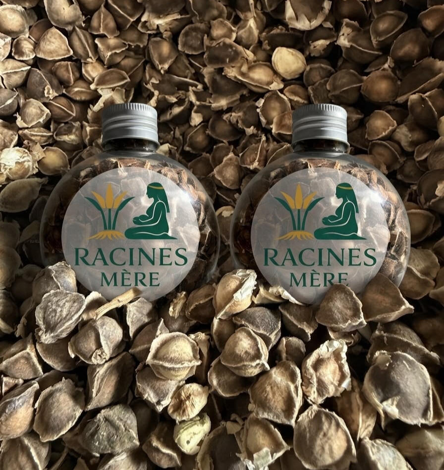 Graines de Moringa Graines de Moringa